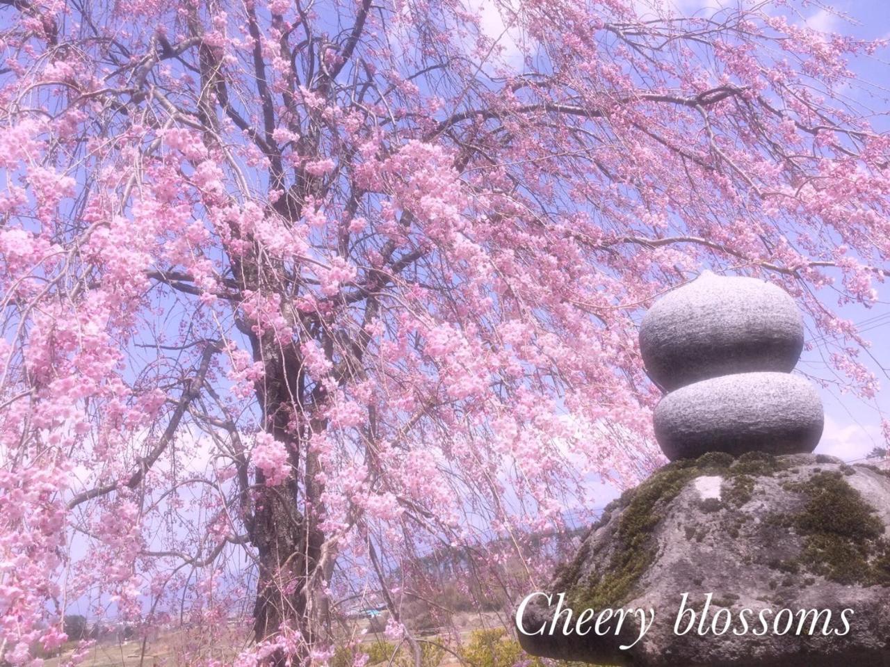 Pension Wildflowers Tateshina  Exterior foto