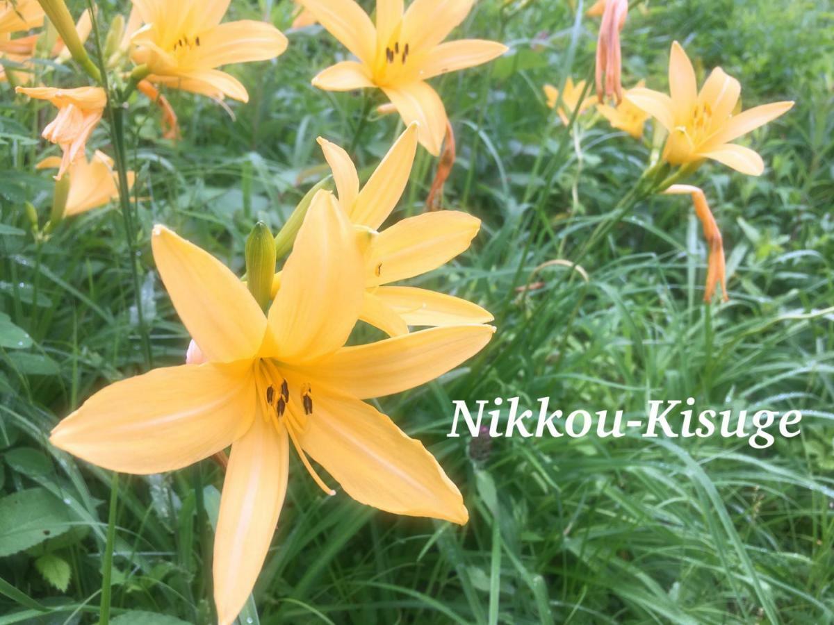Pension Wildflowers Tateshina  Exterior foto