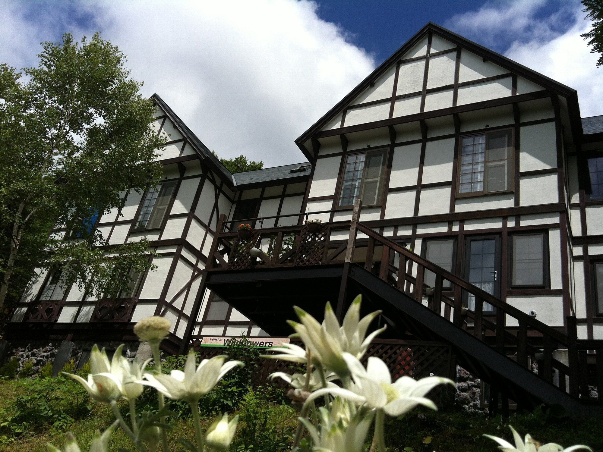 Pension Wildflowers Tateshina  Exterior foto